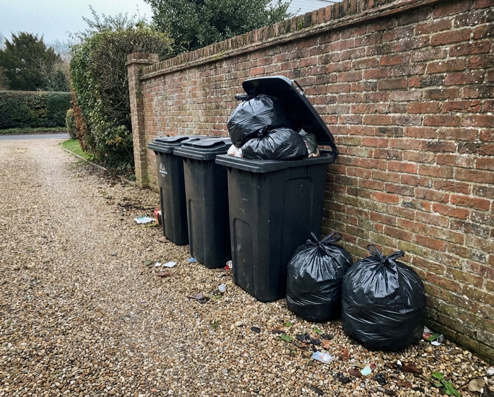 Overflowing wheelie bins in Aldwick needing private collection